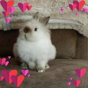 Meet your Posher, Leslee